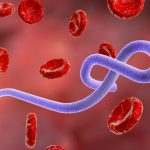 Africa on Alert as Ebola Outbreak Claims 65 Lives In Dr Congo