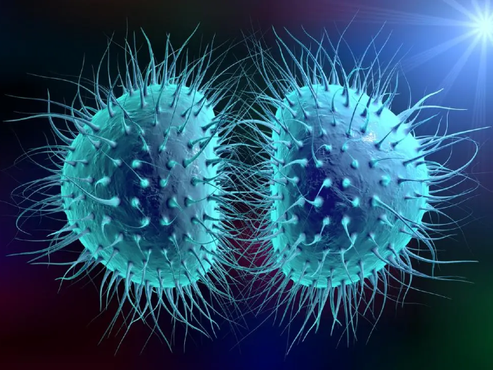 11 states have high-risk for meningitis -NiMet