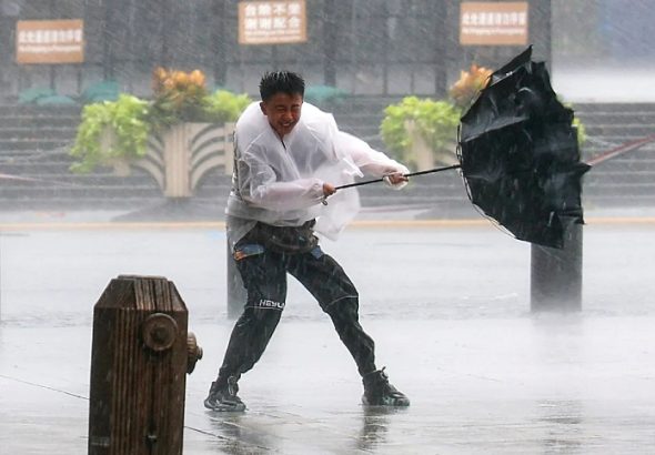 typhoon dolphin