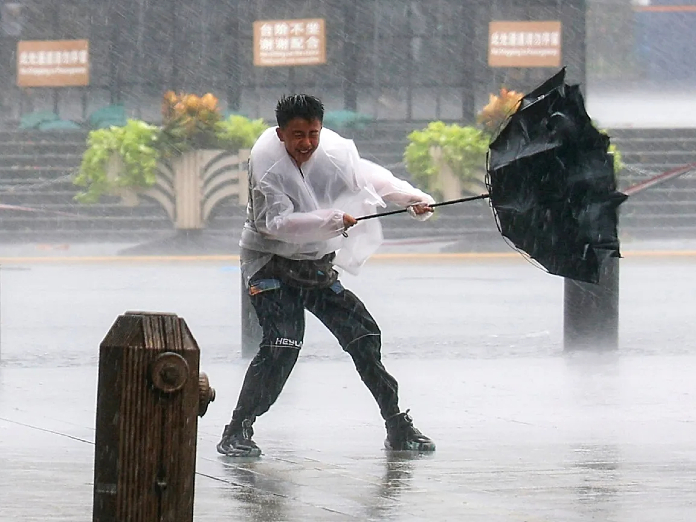 typhoon dolphin